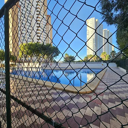 Provima B 16 If Benidorm