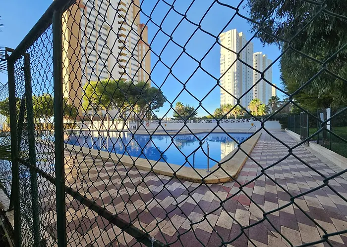Provima B 16 If Benidorm