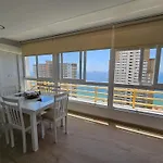 Provima B 16 If Apartamento Benidorm